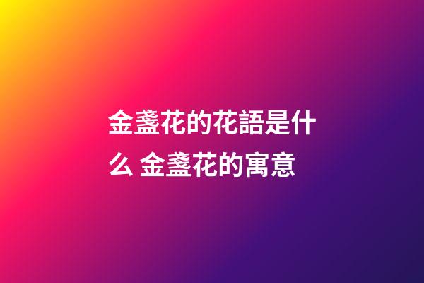 金盞花的花語是什么 金盞花的寓意